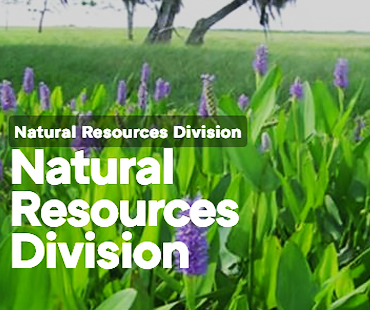 NSU Marine Environmental Education Center